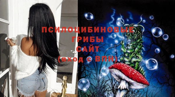 мет Арсеньев